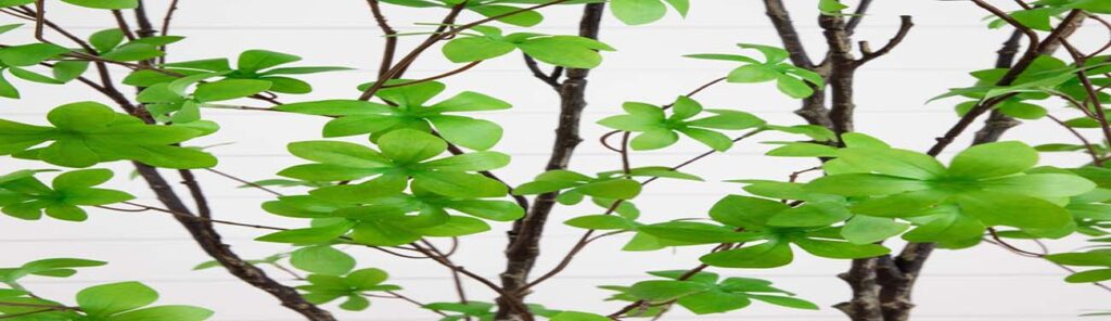 10 Surprise Indoor Artificial Plant Gifts Before Christmas 10 surprise indoor artificial plant gifts to deliv