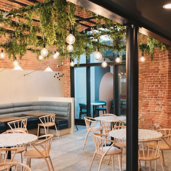 About Us fake plants in restaurant