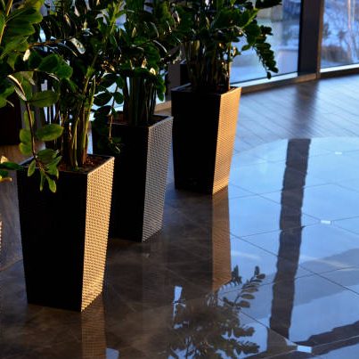 About Us office decoration with fake plants