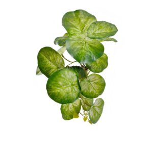 artificial hanging vines monstera apple watermelon decor (复制)