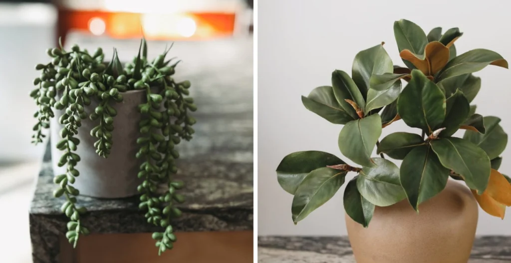 why do artificial plants need to have their angles